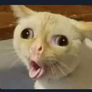 Meet your Posher, Delia